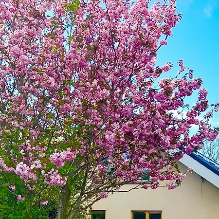 Hoeve Consensus Texel 3*